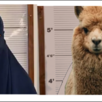 Ridiculous Policing favours Muslims